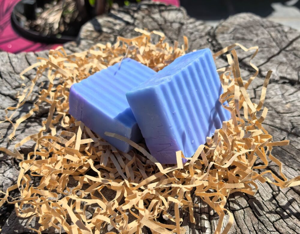 Shop Primary Image Shop Primary Image