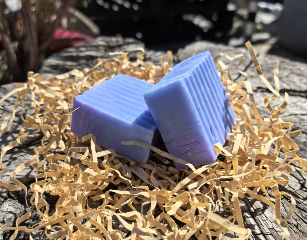 Shop Secondary Image Shop Secondary Image