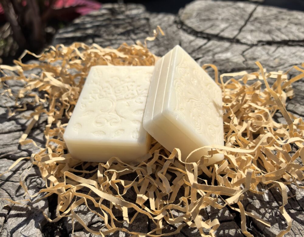 Shop Primary Image Shop Primary Image